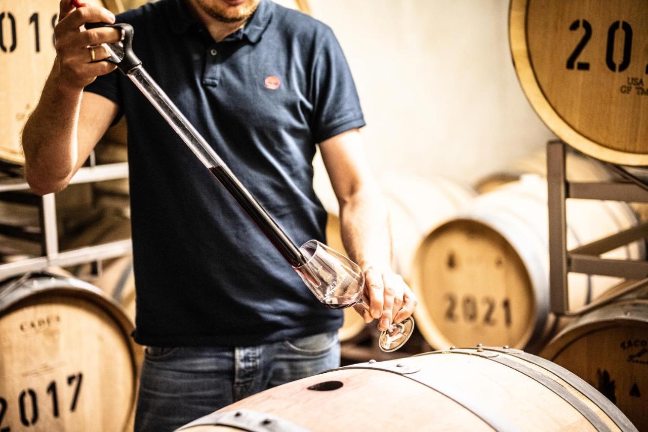 Weingut Und Gaestehaus Apel นิทเทอ ภายนอก รูปภาพ