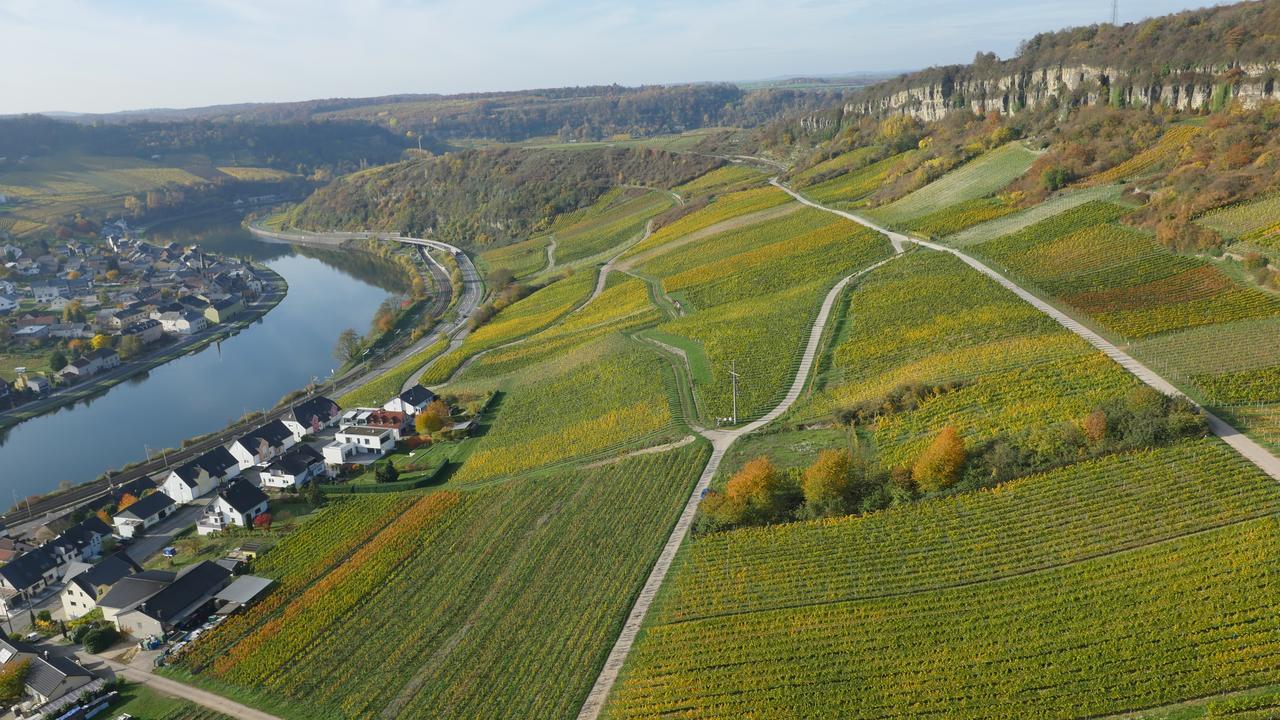Weingut Und Gaestehaus Apel นิทเทอ ภายนอก รูปภาพ