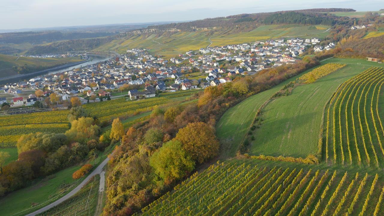 Weingut Und Gaestehaus Apel นิทเทอ ภายนอก รูปภาพ
